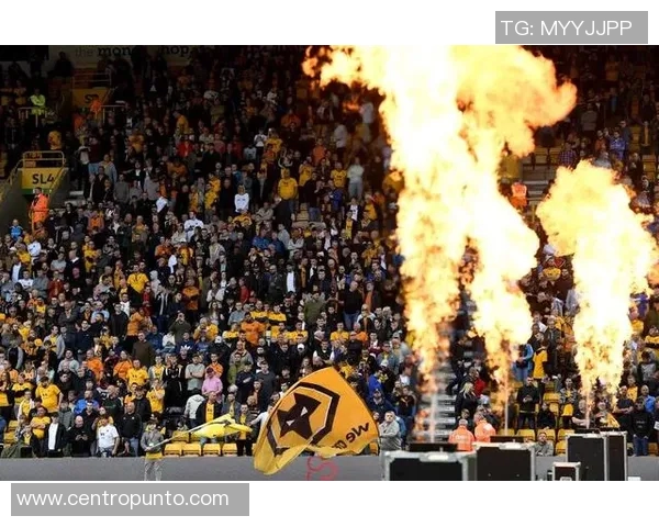 北京极限运动队反击之路:挑战与收获的深度剖析