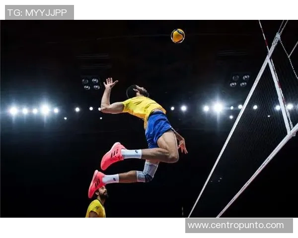 杨秀英专访揭秘排球成功秘诀与背后故事分享