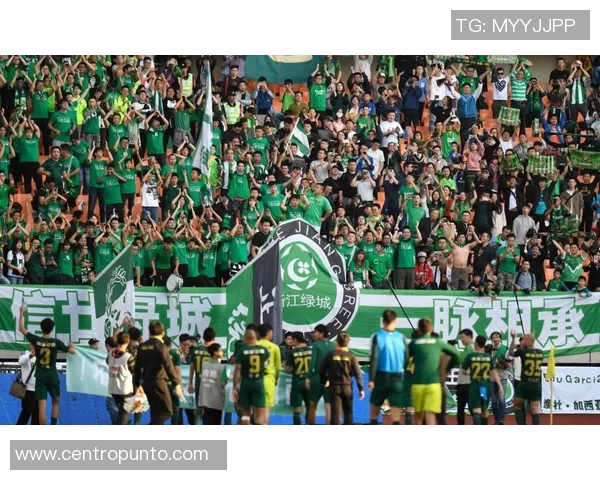 成都排球队的转换打法深度解析与战术创新探讨