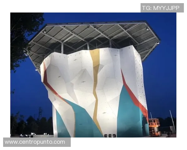 北京极限运动队战术分析与策略探讨聚焦极限运动的未来发展方向