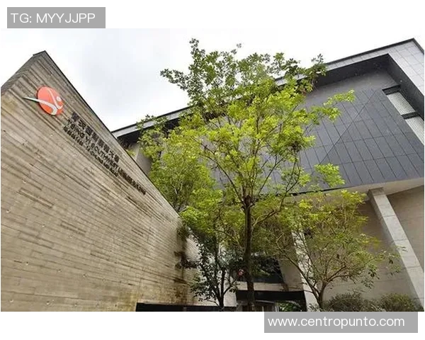 青衣运动场：打造城市活力中心，助力全民健身与体育文化融合发展