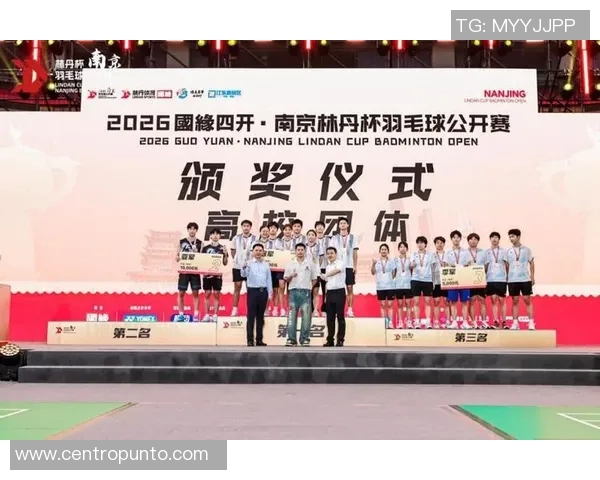 南京羽毛球队在锦标赛中的个人能力分析与表现评估